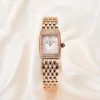 S3a99a371921d4215bde8eb8df833755dM.webp Pagani Design Elite Women’s Watch – Swiss Movement